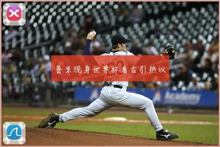 普京现身世界杯看台引热议