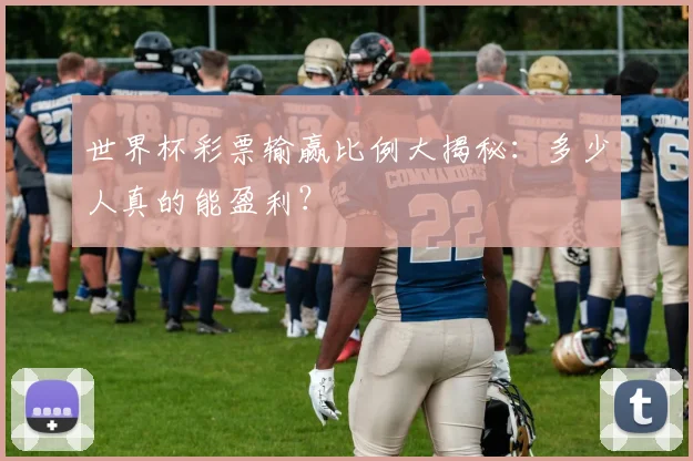 世界杯彩票输赢比例大揭秘:多少人真的能盈利?