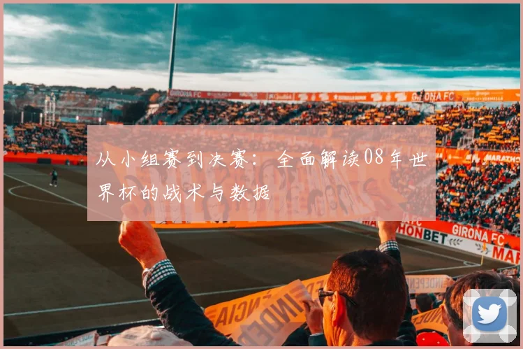 从小组赛到决赛：全面解读08年世界杯的战术与数据