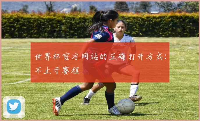 世界杯官方网站的正确打开方式：不止于赛程
