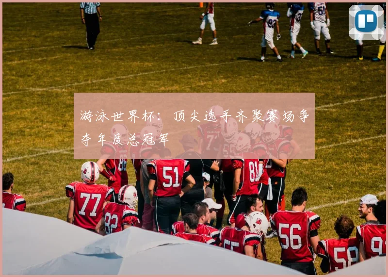游泳世界杯：顶尖选手齐聚赛场争夺年度总冠军