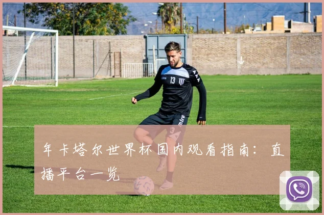 年卡塔尔世界杯国内观看指南:直播平台一览