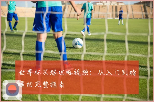 世界杯买球攻略视频：从入门到精通的完整指南