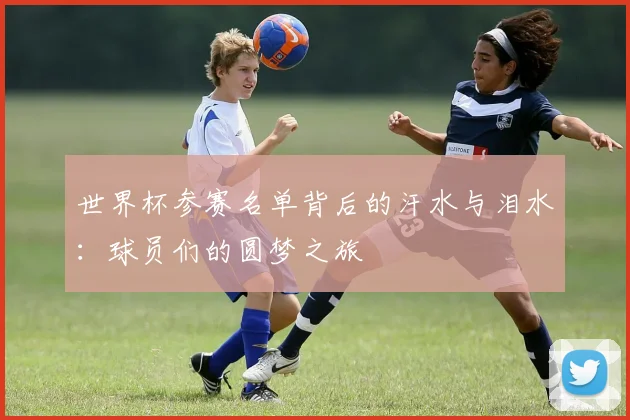 世界杯参赛名单背后的汗水与泪水：球员们的圆梦之旅