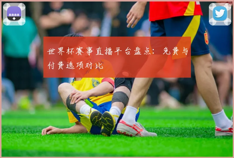世界杯赛事直播平台盘点：免费与付费选项对比