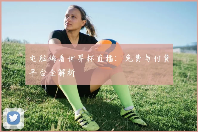 电脑端看世界杯直播：免费与付费平台全解析
