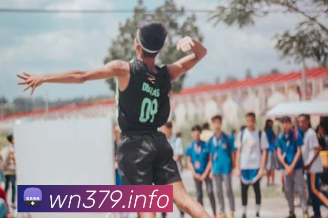 九游j9官方主页平台生态图